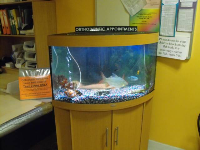 fish tank